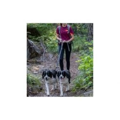 PetSafe Double Dog Leash -PetSafe Sales Store unnamed file 126