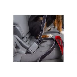 PetSafe Leash To Seatbelt Buckle -PetSafe Sales Store unnamed file 130
