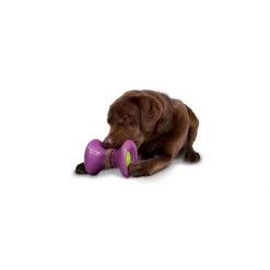PetSafe Busy Buddy Ultra Woofer Dog Toy -PetSafe Sales Store unnamed file 133
