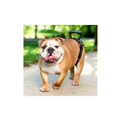 PetSafe CareLift Rear Support Harness -PetSafe Sales Store unnamed file 151