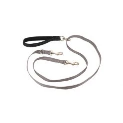 PetSafe Two Point Control Leash Grey