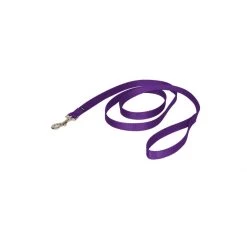 PetSafe 6ft Nylon Leash Apple -PetSafe Sales Store unnamed file 160