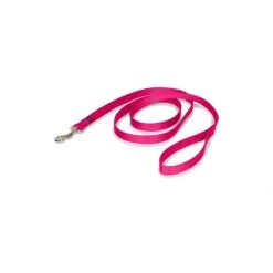 PetSafe 6ft Nylon Leash Apple -PetSafe Sales Store unnamed file 161