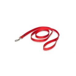 PetSafe 6ft Nylon Leash Apple -PetSafe Sales Store unnamed file 164