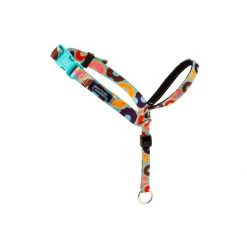 PetSafe Gentle Leader Chic Designer Headcollar And Leash Poppies -PetSafe Sales Store unnamed file 171