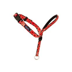 PetSafe Gentle Leader Chic Designer Headcollar And Leash Poppies -PetSafe Sales Store unnamed file 172