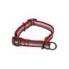 PetSafe Walk About Training Collar -PetSafe Sales Store unnamed file 186