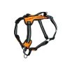 PetSafe Walk Along Outdoor Harness Orange 1 PetSafe Walk Along Outdoor Harness Orange -PetSafe Sales Store unnamed file 222