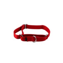 PetSafe Martingale 1in Collar Deep Purple -PetSafe Sales Store unnamed file 242