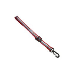 PetSafe Walk About Traffic Lead