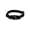 PetSafe Martingale 1in Collar With Quick-Snap Buckle Raspberry -PetSafe Sales Store unnamed file 258