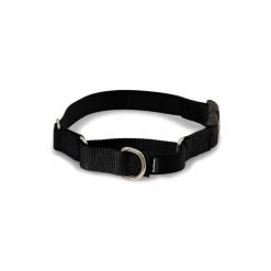 PetSafe Martingale 1in Collar With Quick-Snap Buckle Raspberry