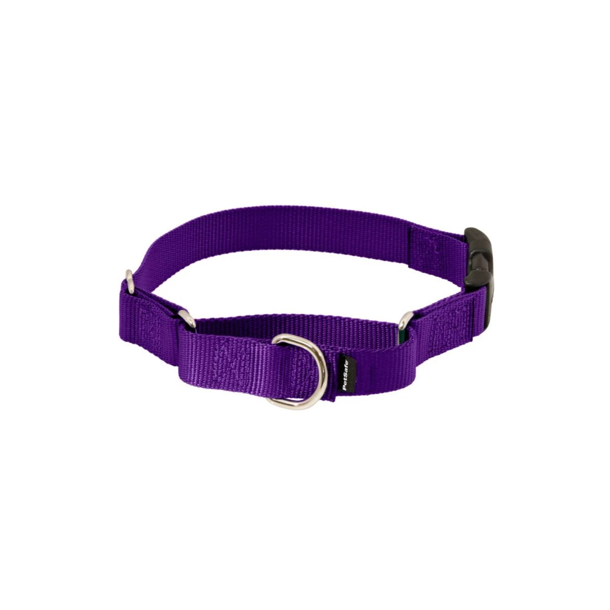 PetSafe Martingale 1in Collar With Quick-Snap Buckle Raspberry 5 PetSafe Martingale 1in Collar With Quick-Snap Buckle Raspberry - Image 3