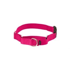 PetSafe Martingale 1in Collar With Quick-Snap Buckle Raspberry 11 PetSafe Martingale 1in Collar With Quick-Snap Buckle Raspberry -PetSafe Sales Store unnamed file 261