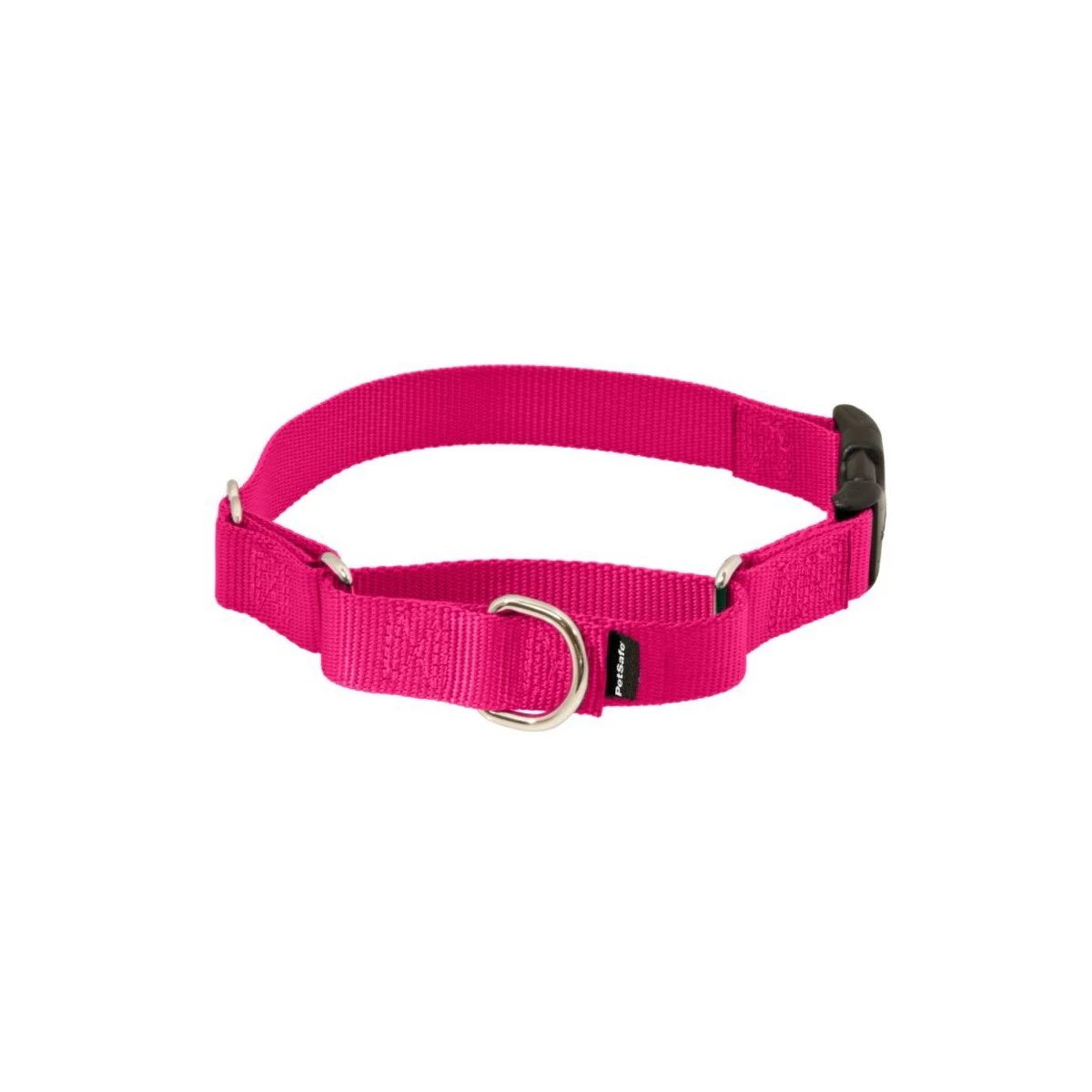 PetSafe Martingale 1in Collar With Quick-Snap Buckle Raspberry 6 PetSafe Martingale 1in Collar With Quick-Snap Buckle Raspberry - Image 4
