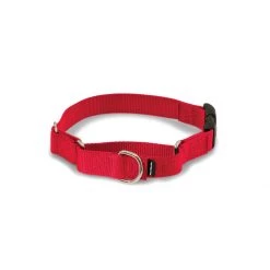 PetSafe Martingale 1in Collar With Quick-Snap Buckle Raspberry 12 PetSafe Martingale 1in Collar With Quick-Snap Buckle Raspberry -PetSafe Sales Store unnamed file 262