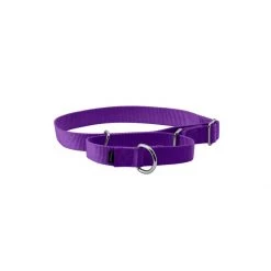 PetSafe Martingale 3/8in Collar Deep Purple -PetSafe Sales Store unnamed file 266