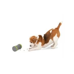 PetSafe Kibble Chase Roaming Treat Dropper -PetSafe Sales Store unnamed file 272