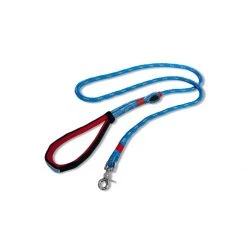 PetSafe Ascender Leash