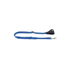 PetSafe Sport Leash Royal Blue -PetSafe Sales Store unnamed file 281