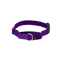 PetSafe Martingale 3/4in Collar With Quick-Snap Buckle Deep Purple -PetSafe Sales Store unnamed file 289