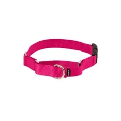 PetSafe Martingale 3/4in Collar With Quick-Snap Buckle Deep Purple -PetSafe Sales Store unnamed file 290