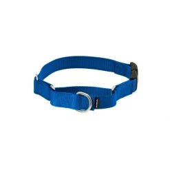 PetSafe Martingale 3/4in Collar With Quick-Snap Buckle Deep Purple -PetSafe Sales Store unnamed file 292