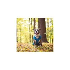 PetSafe Loft Dog Jacket Chili Red/charcoal -PetSafe Sales Store unnamed file 306