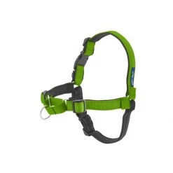 PetSafe Deluxe Easy Walk No Pull Harness Apple