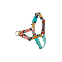 PetSafe Easy Walk Chic Harness Bonez 8 PetSafe Easy Walk Chic Harness Bonez -PetSafe Sales Store unnamed file 351