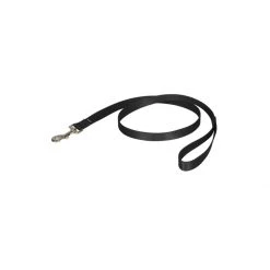 PetSafe 4ft Nylon Leash Red