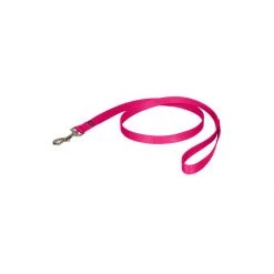 PetSafe 4ft Nylon Leash Red -PetSafe Sales Store unnamed file 357