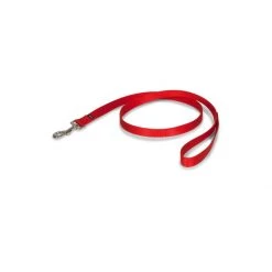 PetSafe 4ft Nylon Leash Red -PetSafe Sales Store unnamed file 358