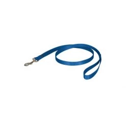 PetSafe 4ft Nylon Leash Red -PetSafe Sales Store unnamed file 359