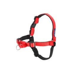 PetSafe Deluxe Easy Walk No Pull Harness Apple -PetSafe Sales Store unnamed file 37