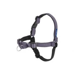 PetSafe Deluxe Easy Walk No Pull Harness Apple -PetSafe Sales Store unnamed file 38