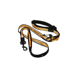 PetSafe Quantum Leash Coastal Blue -PetSafe Sales Store unnamed file 404