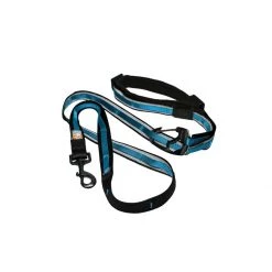 PetSafe Quantum Leash Coastal Blue -PetSafe Sales Store unnamed file 405