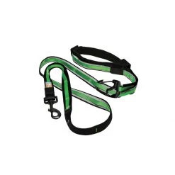 PetSafe Quantum Leash Coastal Blue -PetSafe Sales Store unnamed file 406