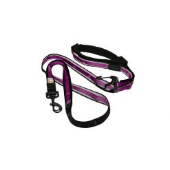 PetSafe Quantum Leash Coastal Blue -PetSafe Sales Store unnamed file 407