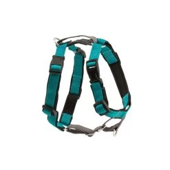 PetSafe 3 In 1 Harness Plum -PetSafe Sales Store unnamed file 424