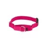 PetSafe Martingale 3/8in Collar With Quick-Snap Buckle Raspberry
