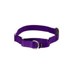 PetSafe Martingale 3/8in Collar With Quick-Snap Buckle Raspberry -PetSafe Sales Store unnamed file 428