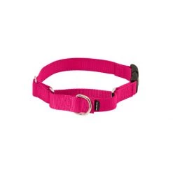 PetSafe Martingale 3/8in Collar With Quick-Snap Buckle Raspberry -PetSafe Sales Store unnamed file 429