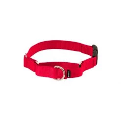 PetSafe Martingale 3/8in Collar With Quick-Snap Buckle Raspberry -PetSafe Sales Store unnamed file 430