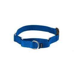 PetSafe Martingale 3/8in Collar With Quick-Snap Buckle Raspberry -PetSafe Sales Store unnamed file 431