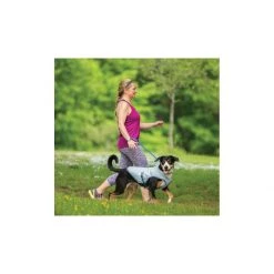 PetSafe Core Cooling Dog Vest Icy Blue/storm Blue 6 PetSafe Core Cooling Dog Vest Icy Blue/storm Blue -PetSafe Sales Store unnamed file 479