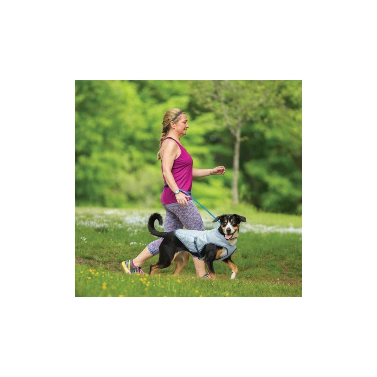 PetSafe Core Cooling Dog Vest Icy Blue/storm Blue 4 PetSafe Core Cooling Dog Vest Icy Blue/storm Blue - Image 2