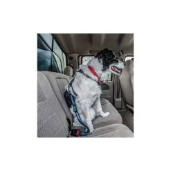 PetSafe Direct To Seatbelt Bungee Tether -PetSafe Sales Store unnamed file 497