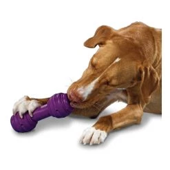 PetSafe Busy Buddy Chuckle Dog Toy -PetSafe Sales Store unnamed file 500